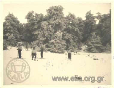 Snowy landscape in Parnitha.