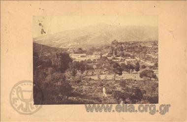 Landscape in Penteli.