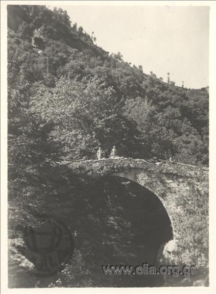 Stone bridge in Zagora, Pelion