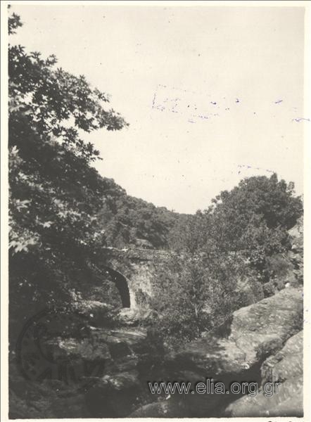 Stone bridge in Zagora, Pelion