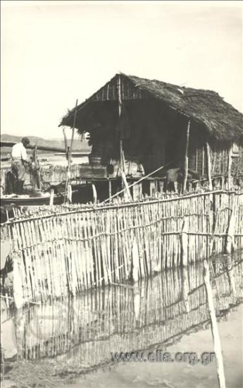 Πελάδες στη λιμνοθάλασσα.