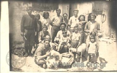 Μετά το κούρεμα του αρνιού.