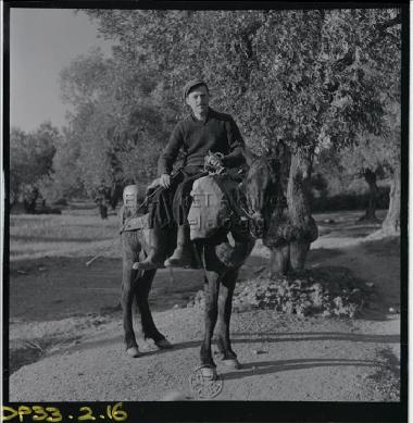 Σκιαθιώτης καβάλα στ' άλογο.