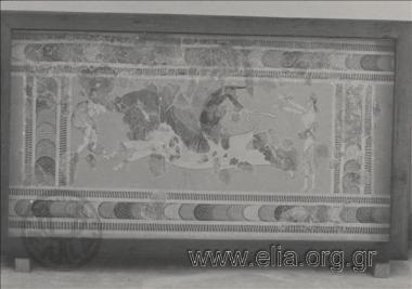 Αρχαιολογικό μουσείο. Τα Ταυροκαθάψια, τοιχογραφία Κνωσσού.