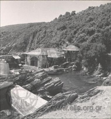 Καβούρι.