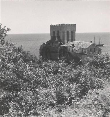Καβούρι.