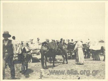 People and animals on the coast, Rafina.