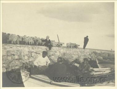 Woman by the sea and fishermen, Rafina