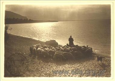 Landscape by the sea, shepherd, sheep.