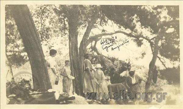 Excursionists  in a forest on a tour of Aegina and Agkistri