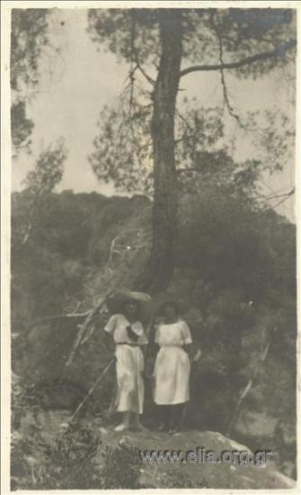 Excursion to a forest on the island