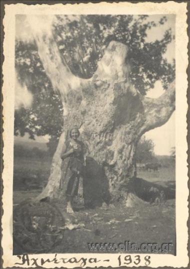 Γυναίκα μπροστά σε δέντρο στην εξοχή.