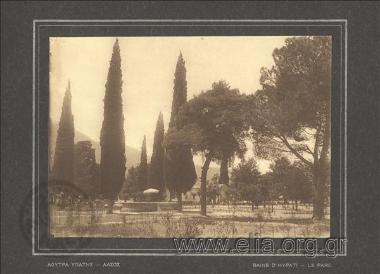 Λουτρά Υπάτης, άλσος.