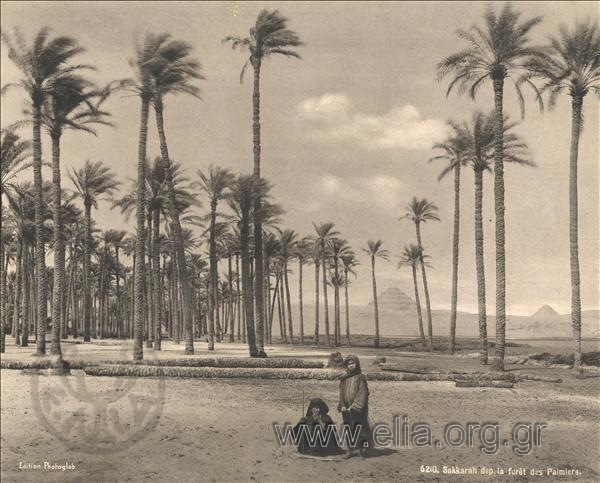 Two children in a palm forest