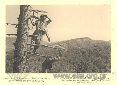 Σκαπανέας του 596 Τ. Πεζικού, ανεβασμένος σε δέντρο, ανιχνεύει την περιοχή.
