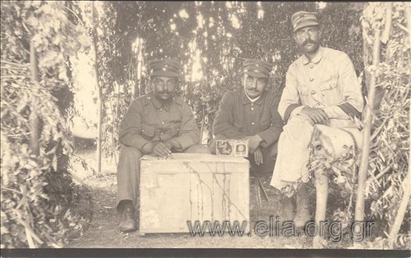 Portrait of two non-commissioned officers (corporal, evzone sergeant) and a soldier in a chamber/compartment made from branches.
