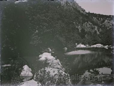 Iris in a country landscape.