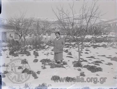 Η Ίρις σε χιονισμένο τοπίο.