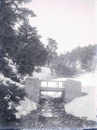 Snowy landscape with a little bridge.