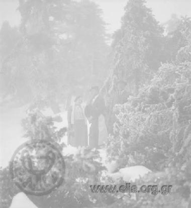 Συντροφιά σε χιονισμένο τοπίο.