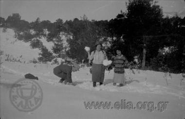Συντροφιά σε χιονισμένο τοπίο.