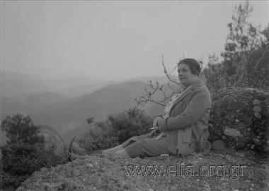 Iris sitting on a slope