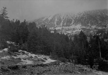 Εκδρομή της Ελληνικής Περιηγητικής Λέσχης στον Παρνασσό, 21-23 Φεβρουαρίου. Τοπίο.