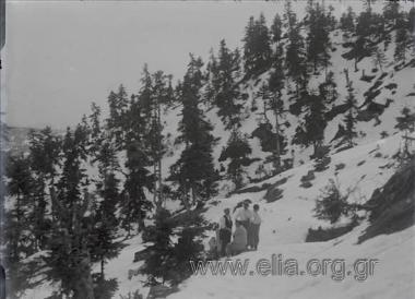 Εκδρομή της Ελληνικής Περιηγητικής Λέσχης στην Οίτη. Χιονισμένο τοπίο στη διαδρομή μεταξύ Παύλιανης - Γοργοποτάμου.