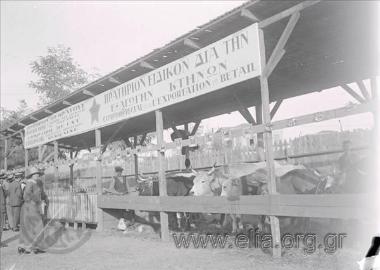 A'  Διεθνής Έκθεση Θεσσαλονίκης: πρατήριο εισαγωγής και εξαγωγής κτηνών (επωνυμία 