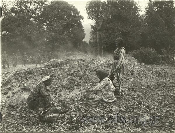 Γυναίκες συλλέγουν φυσσίγια (βουλγαρικά).