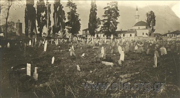 Muslim cemetery in Smyrna (?)