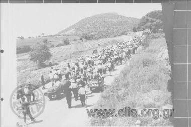 Protest March for Peace.