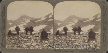 Οδηγοί στον Παρνασσό.