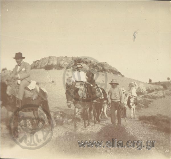 On the road to Profitis Ilias (Prophet Elijah) with mules.