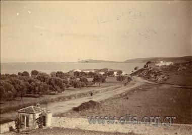 Landscape, olive grove and the open sea between Turkey and Lesbos.