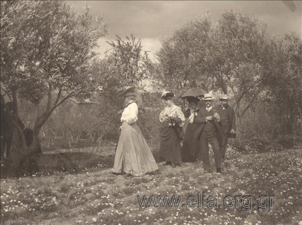 Excursion to an olive grove