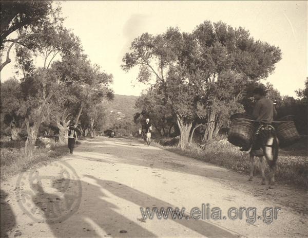 Peasants on a rural road.