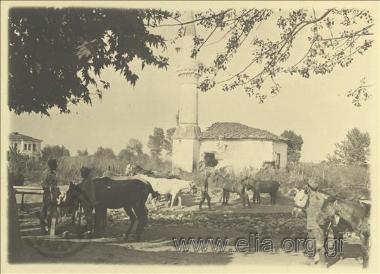 Στρατιώτες με μουλάρια μπροστά σε τζαμί στο Δημήτρι(;).