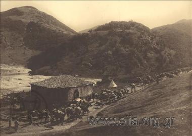 Καραβάνι από καμήλες φτάνει στην περιοχή κατασκευής της γέφυρας, δίπλα στην κοίτη του ποταμού Νέστου.