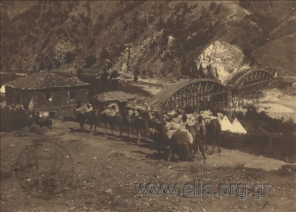 The construction of A bridge at Nestos river. Caravan with camels in front of the lodgings. In the background, the bridge with the two stringers.