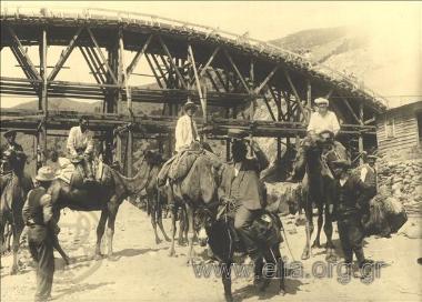 Κατασκευή γέφυρας στον ποταμό Νέστο. Οι εργολάβοι του έργου(;) ποζάρουν πάνω σε καμήλες μεάσα στην κοίτη του ποταμού με φόντο τη γέφυρα.
