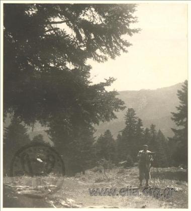 Vafiadakis with a photo camera on a mountainside in Continental Greece