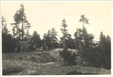 Company walking on a country road in Central Greece