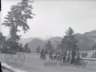 Iris with company on a mountainous road