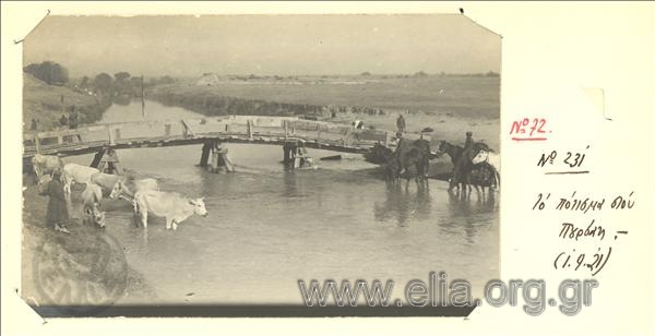Μικρασιατική εκστρατεία, πότισμα βοδιών και αλόγων στον ποταμό Πουρσάκ.