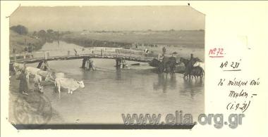 Μικρασιατική εκστρατεία, πότισμα βοδιών και αλόγων στον ποταμό Πουρσάκ.