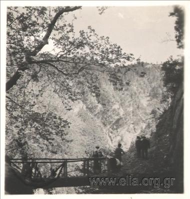 Bridge over a gorge