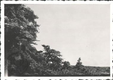 October 23, exurcion of the Mountaineers' Club.