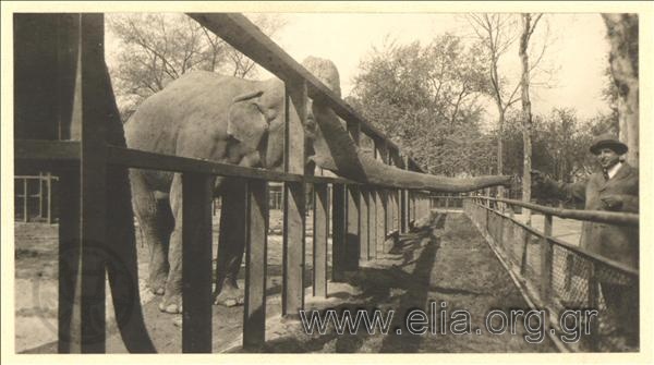 Vafiadakis and an elephant in a zoo