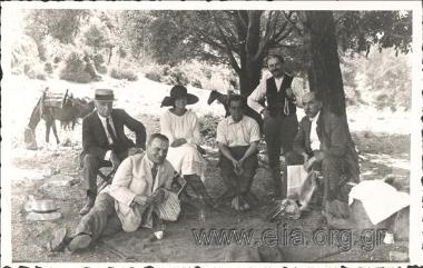 Resting in the shade of a tree